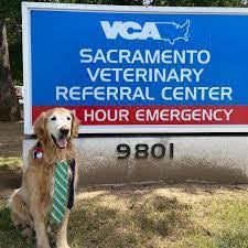 VCA Sacramento Referral Center